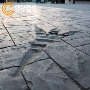 2018_11_18_IMG_0556 R